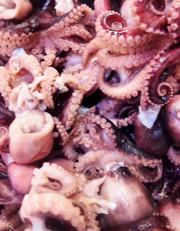 全球热抢的深海珍馐！