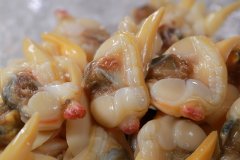 来自深海的纯粹鲜美