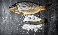 深海珍馐，出口优选——海鲫鱼的自然馈赠